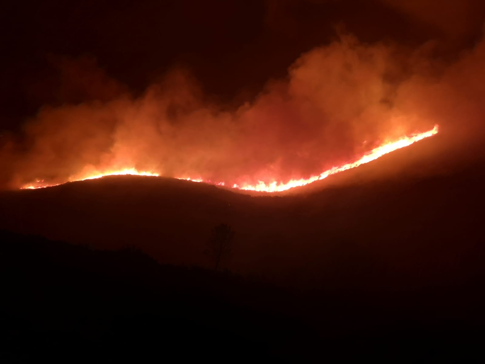 160 hectáreas queimadas nun incendio que entrou desde Portugal