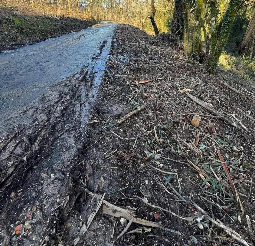 Queixas por como deixaron os madeireiros unha pista entre Rubín e&nbsp;Pardemarín