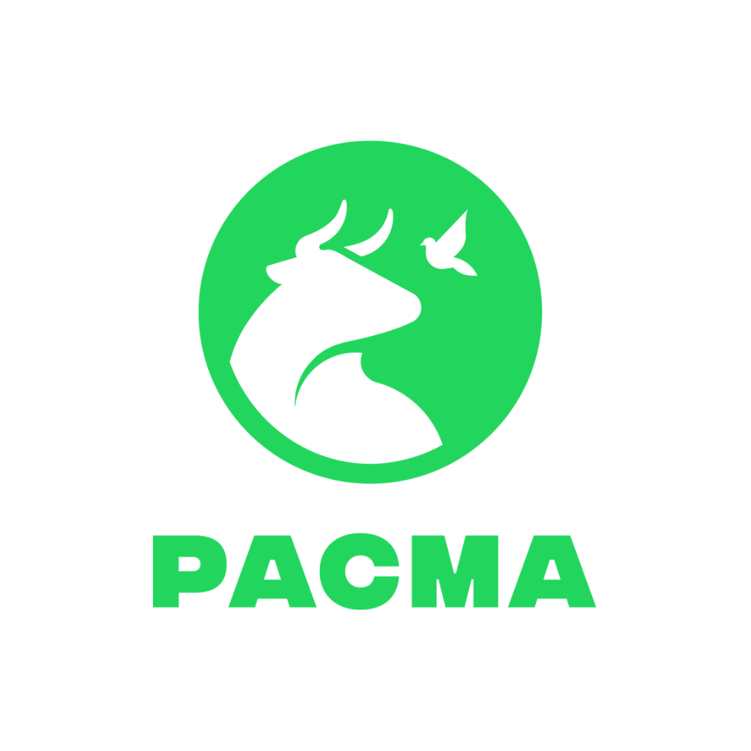 Quen se presenta polo Partido Animalista con el Medio Ambiente na provincia de Pontevedra?