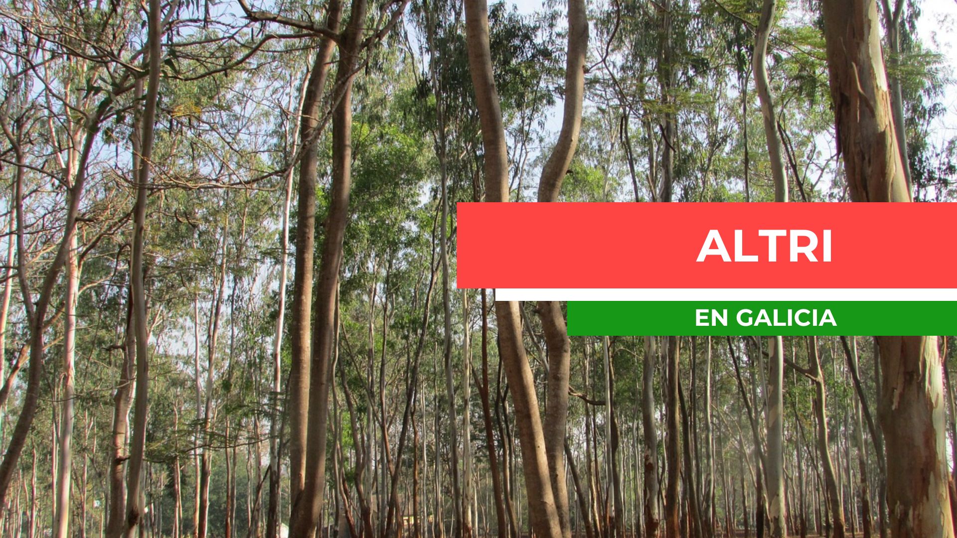 O BNG pídelle ao Concello que se posicione contra a celulosa de Altri polas afeccións no Ulla