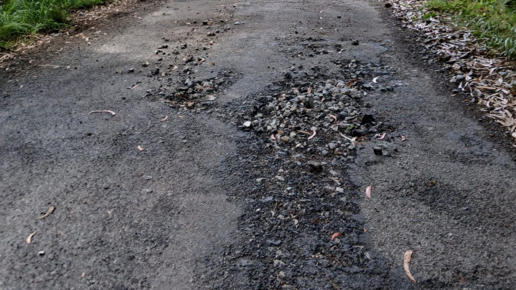 López Bueno lamenta que este ano só se vaian a asfaltar 8&nbsp;pistas