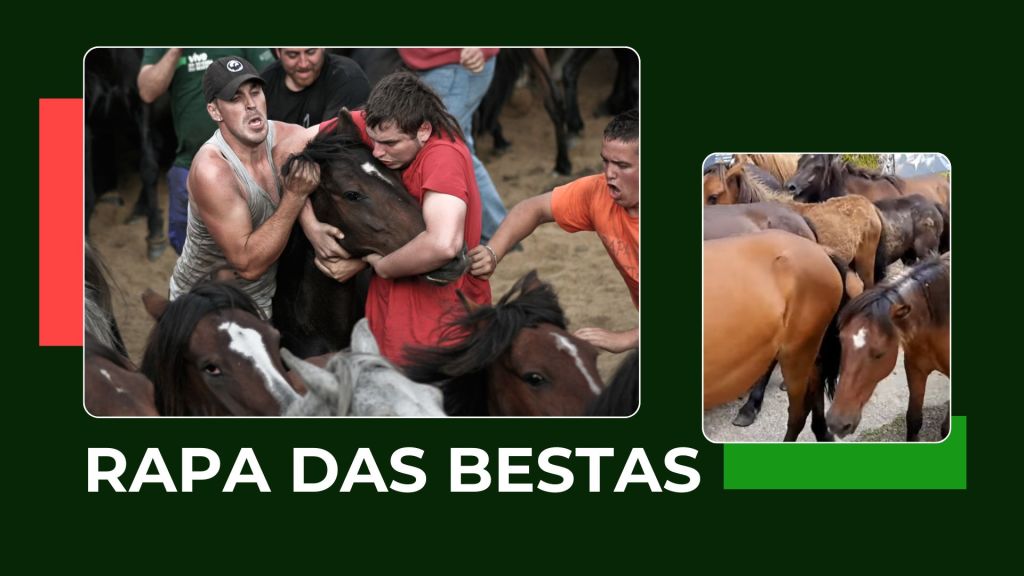 Programación da Rapa das Bestas 2024