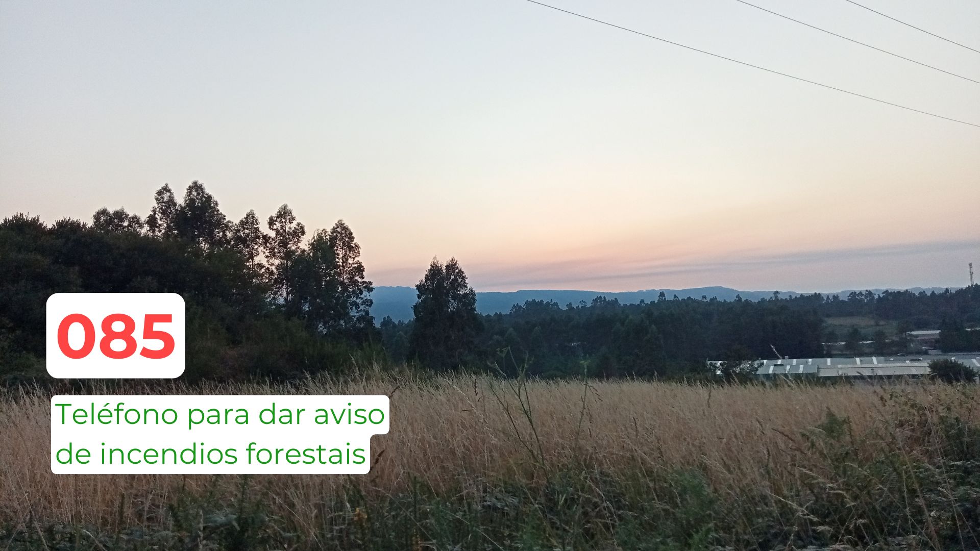 O venres deixa o primeiro incendio forestal do ano na Estrada