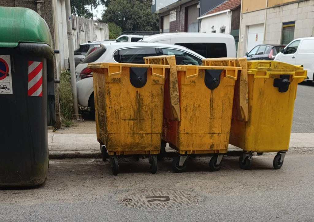 López Bueno critica a suciedade das rúas: “A Estrada nunca estivo tan&nbsp;mal”