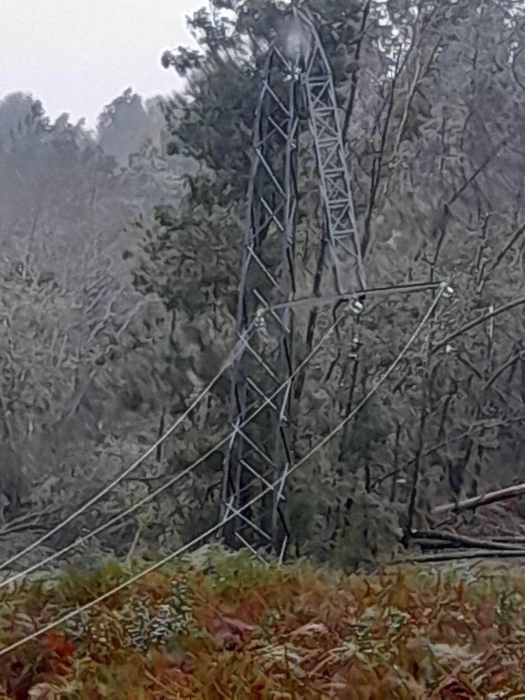 O BNG pide que as eléctricas melloren as infraestruturas do rural para evitar&nbsp;apagóns