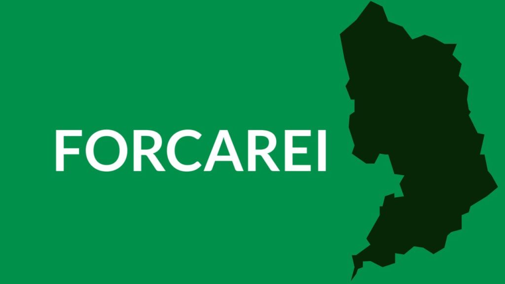 Roteiro e presentación sobre as alvarizas do Candán en Forcarei