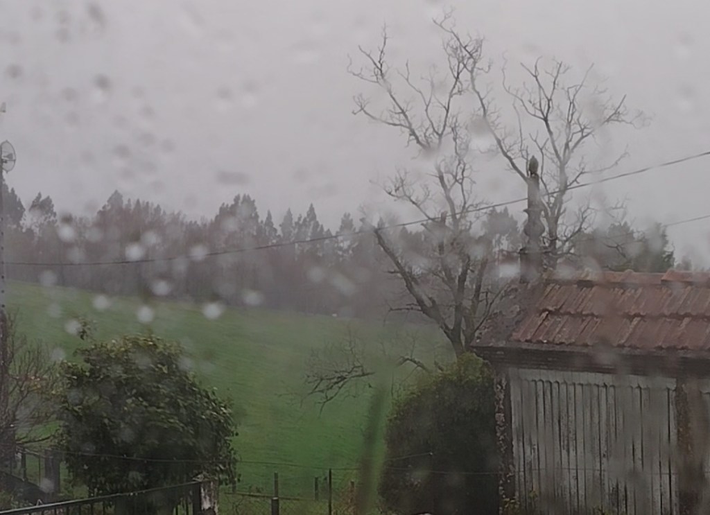 Cortes de luz, balsas de auga e árbores caídas: Herminia desata o caos na comarca