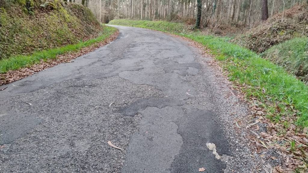 Reices lamenta que os accesos a Requián sexan “xa intrasitábeis”