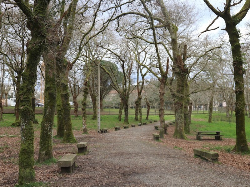 O Concello planifica melloras na Carballeira&nbsp;Municipal