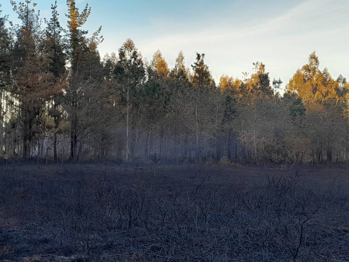 Un incendio calcina 4 hectáreas en&nbsp;Frades
