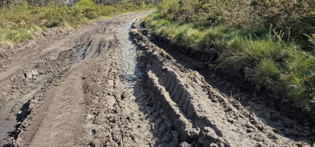 O Concello sancionará ás empresas que non deixen as pistas forestais no seu estado&nbsp;orixinal