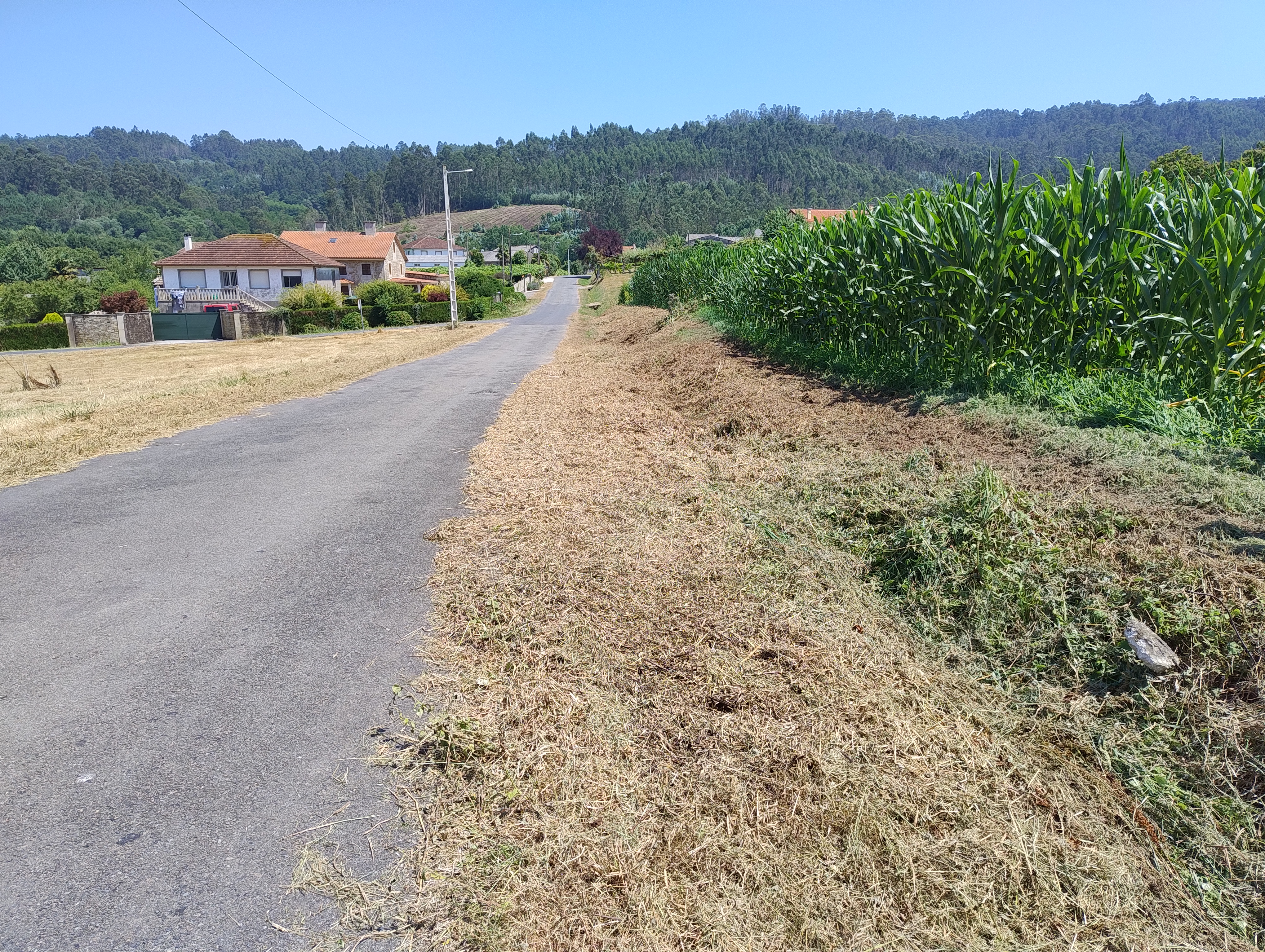 Reices reclama recoller os restos das rozas para evitar que se desborden as cunetas