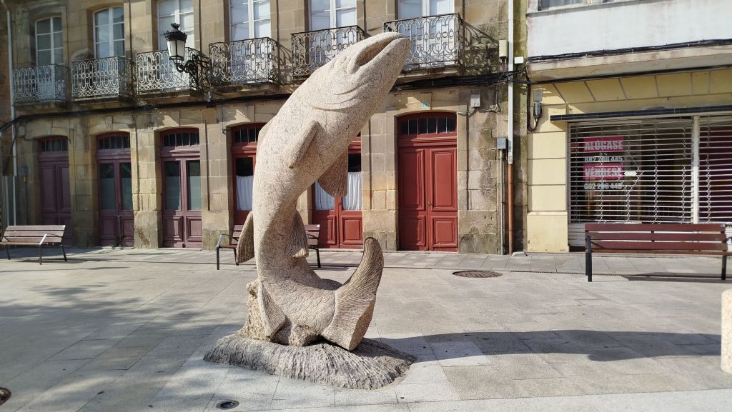 O salmón ao que lle falta parte da&nbsp;cola