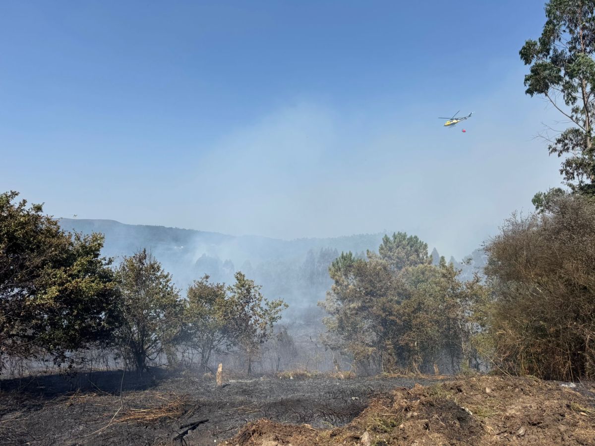 A Estrada rexistrou 7 incendios forestais nos primeiros 18 días de&nbsp;agosto