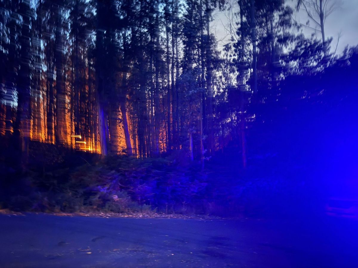 GALERÍA | O incendio de Frades en&nbsp;imaxes
