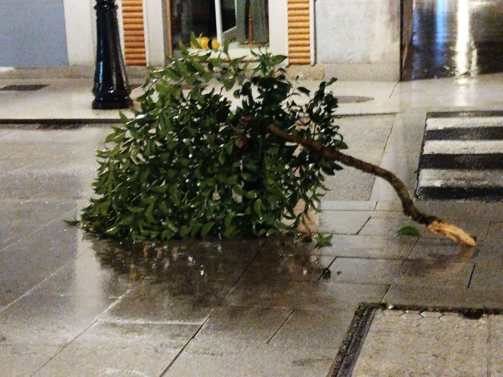 Tomban a pantalla da ACOE na Rúa Calvo&nbsp;Sotelo