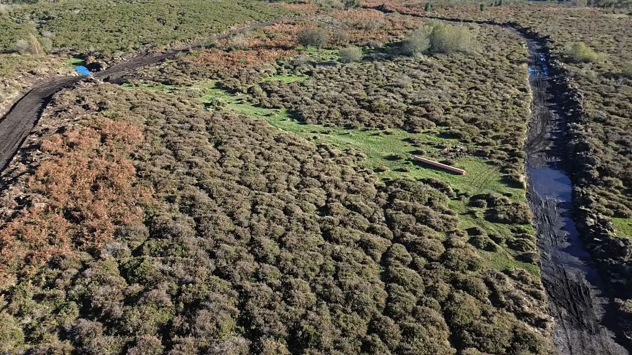 Denuncian a destrución de hábitats naturais prioritarios en Souto e Codeseda