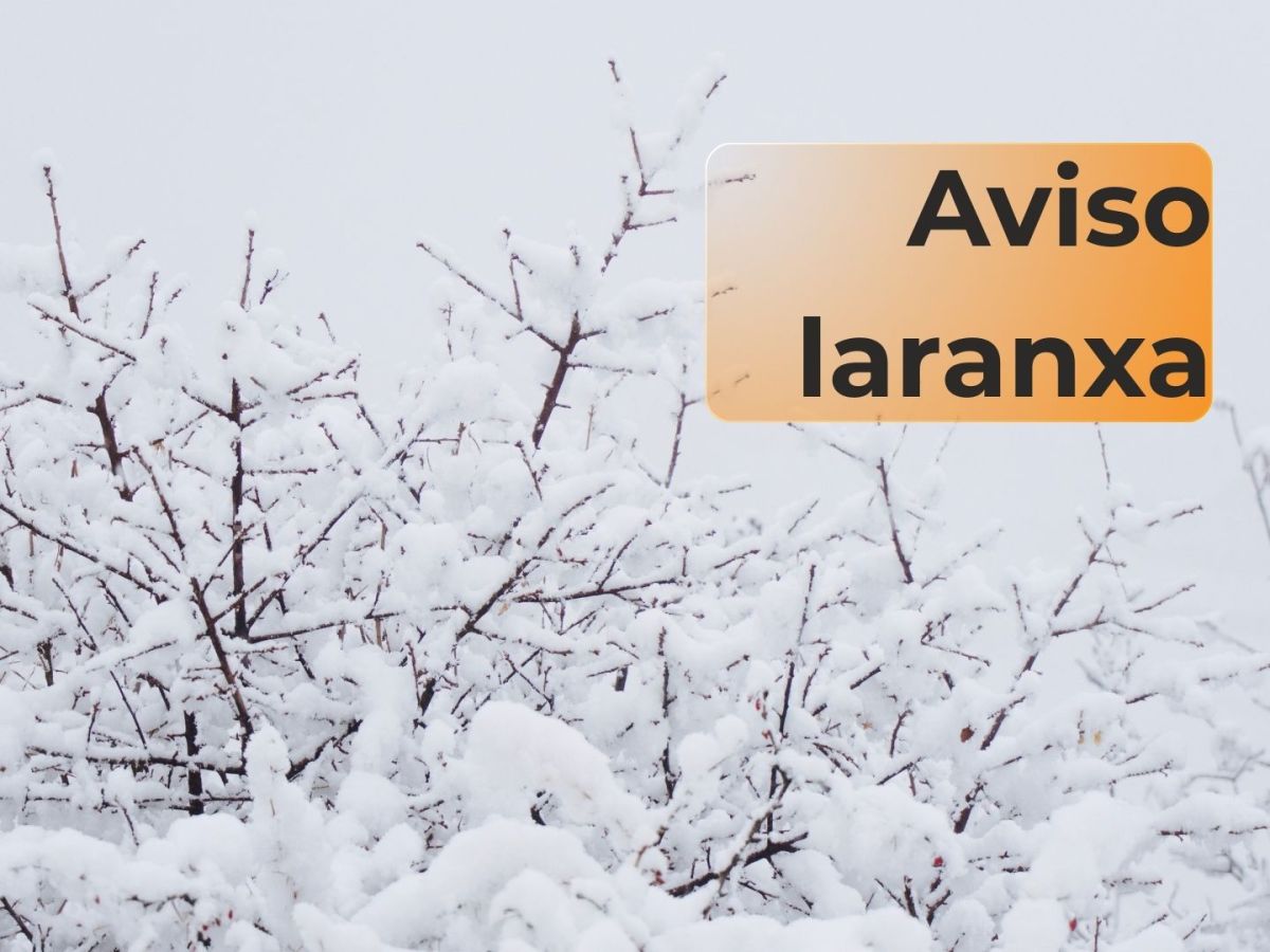 Suspendidas as clases por un aviso laranxa por&nbsp;neve