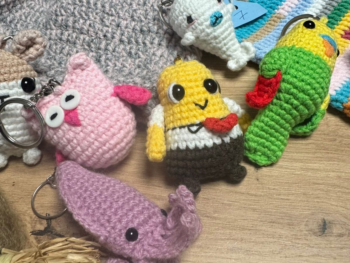 Encontro sobre os beneficios que ten para a saúde&nbsp;tecer