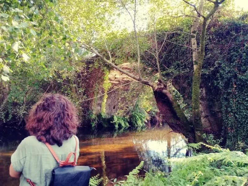 O BNG urxe a reparación das pontes de Liñares e Paradela ante o risco de que se&nbsp;derruben