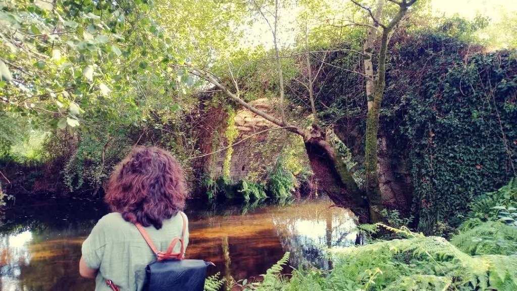 O BNG urxe a reparación das pontes de Liñares e Paradela ante o risco de que se&nbsp;derruben