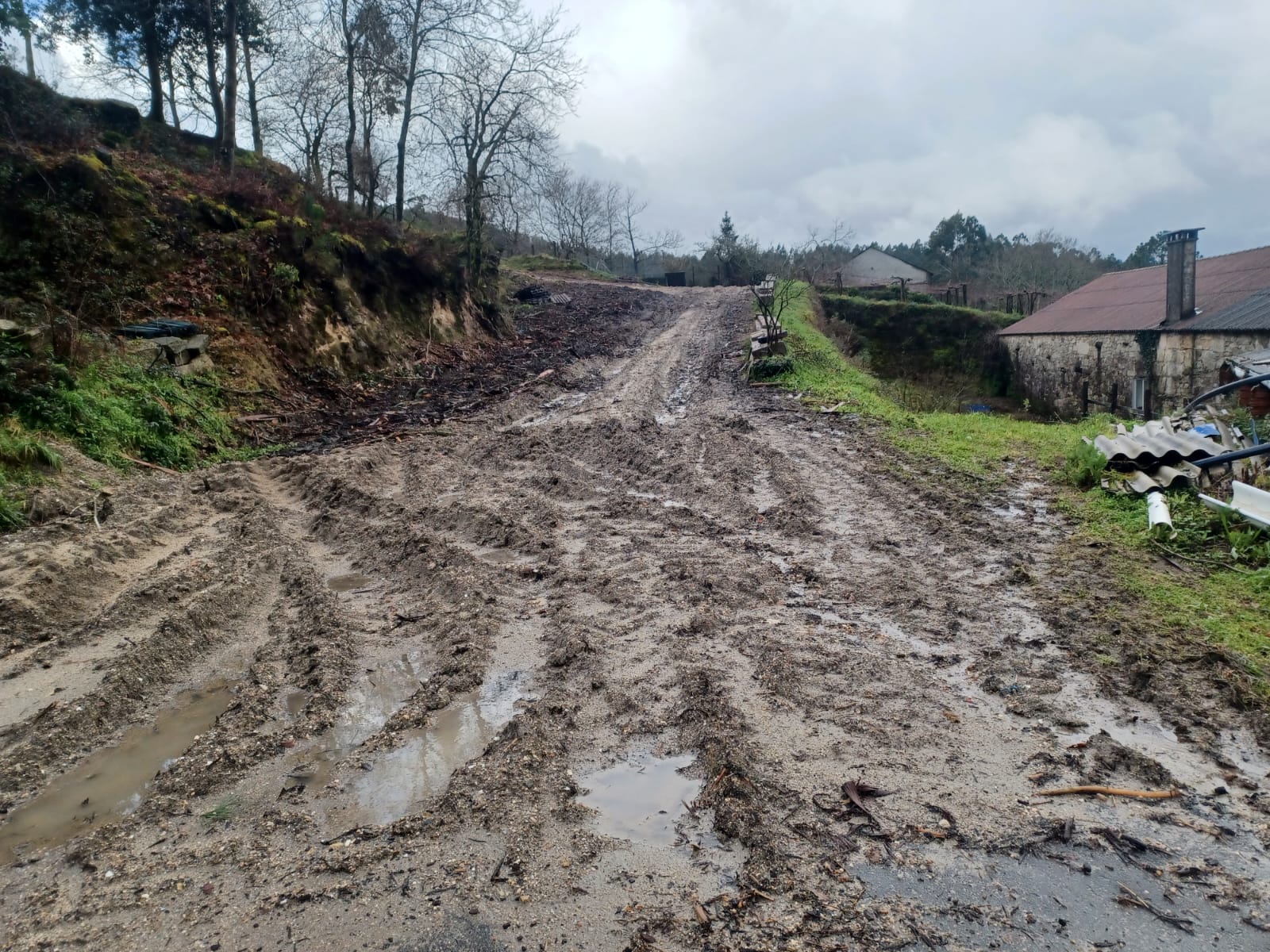 A Estrada esixirá responsabilidades ás madeireiras por danos en vías públicas