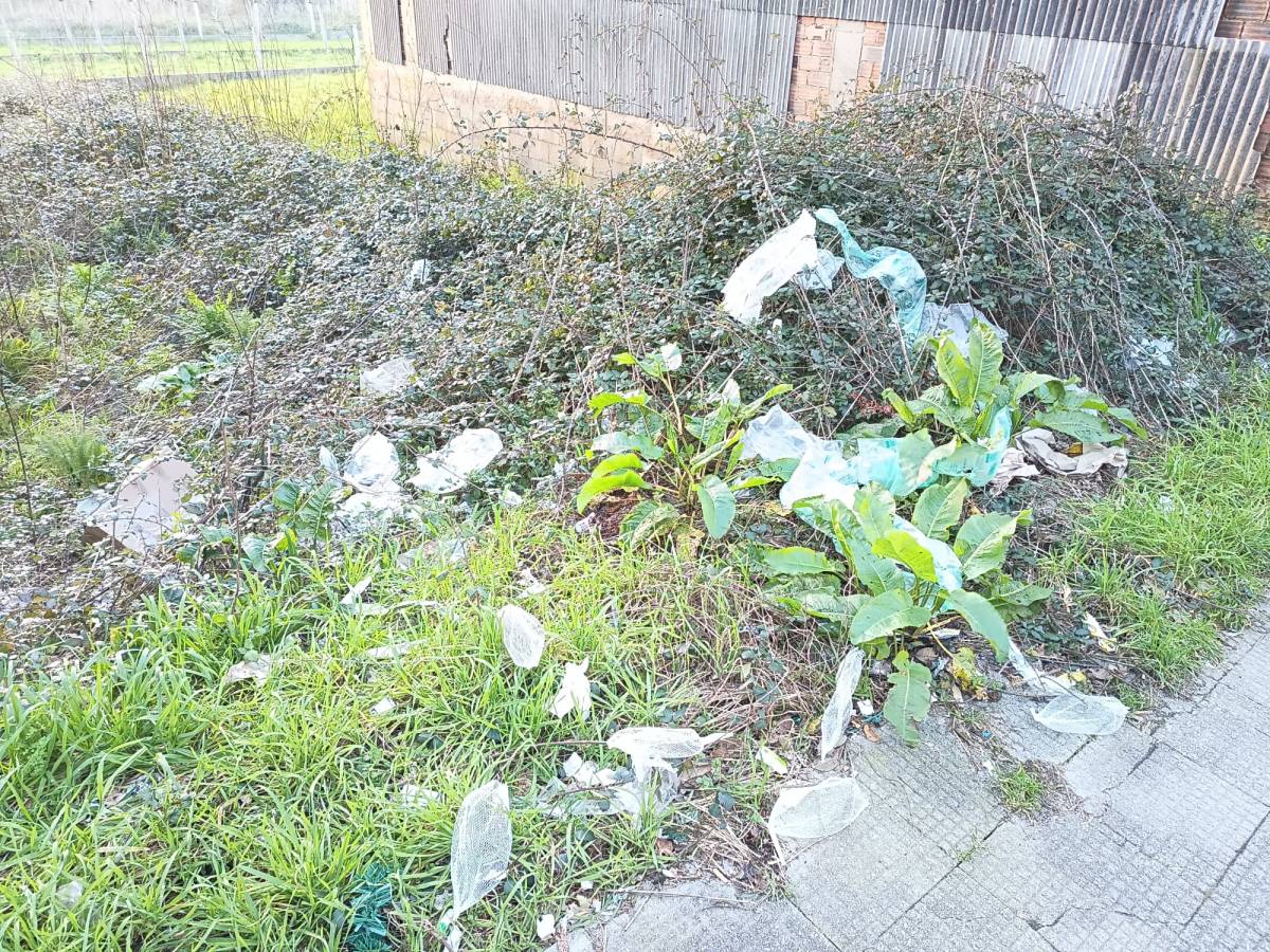 Queixas pola sucidade existente na Avenida de&nbsp;Santiago