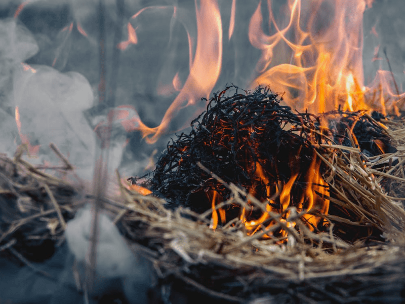 Medio Rural suspende as queimas de restos agrícolas e forestais ata novo&nbsp;aviso