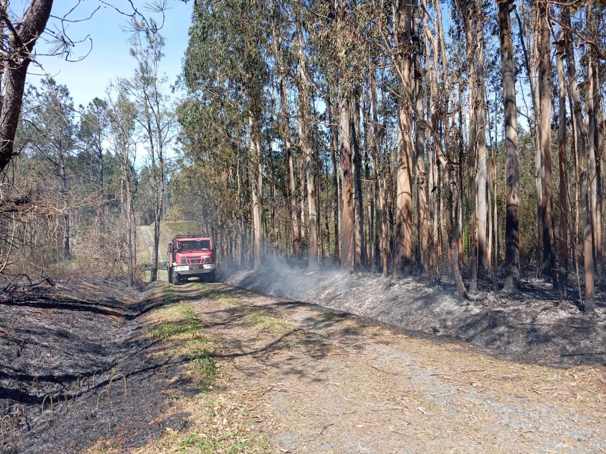 Extinguen un incendio intencionado en Arcos, no límite entre Cuntis e A&nbsp;Estrada