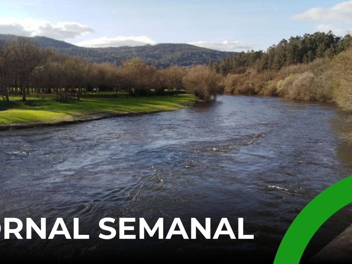 Unha desaparición, reclamacións xuvenís e máis estradas en mal&nbsp;estado