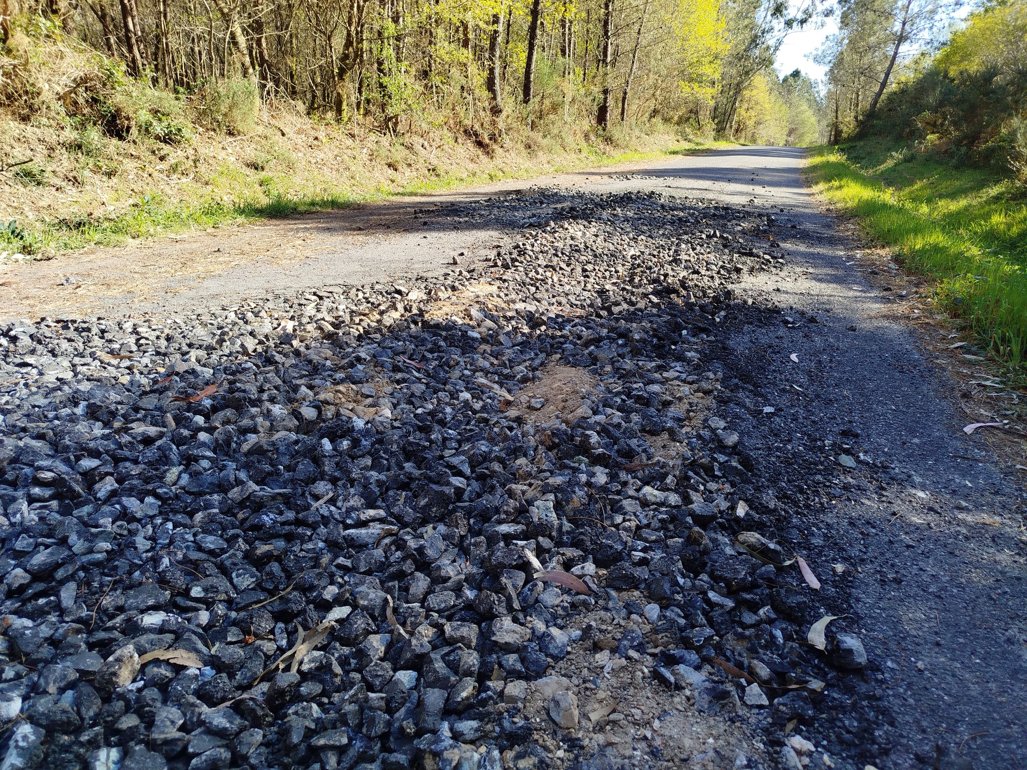 López Bueno rebate as “declaracións triunfalistas” de Louzao con imaxes que lle enviou a cidadanía