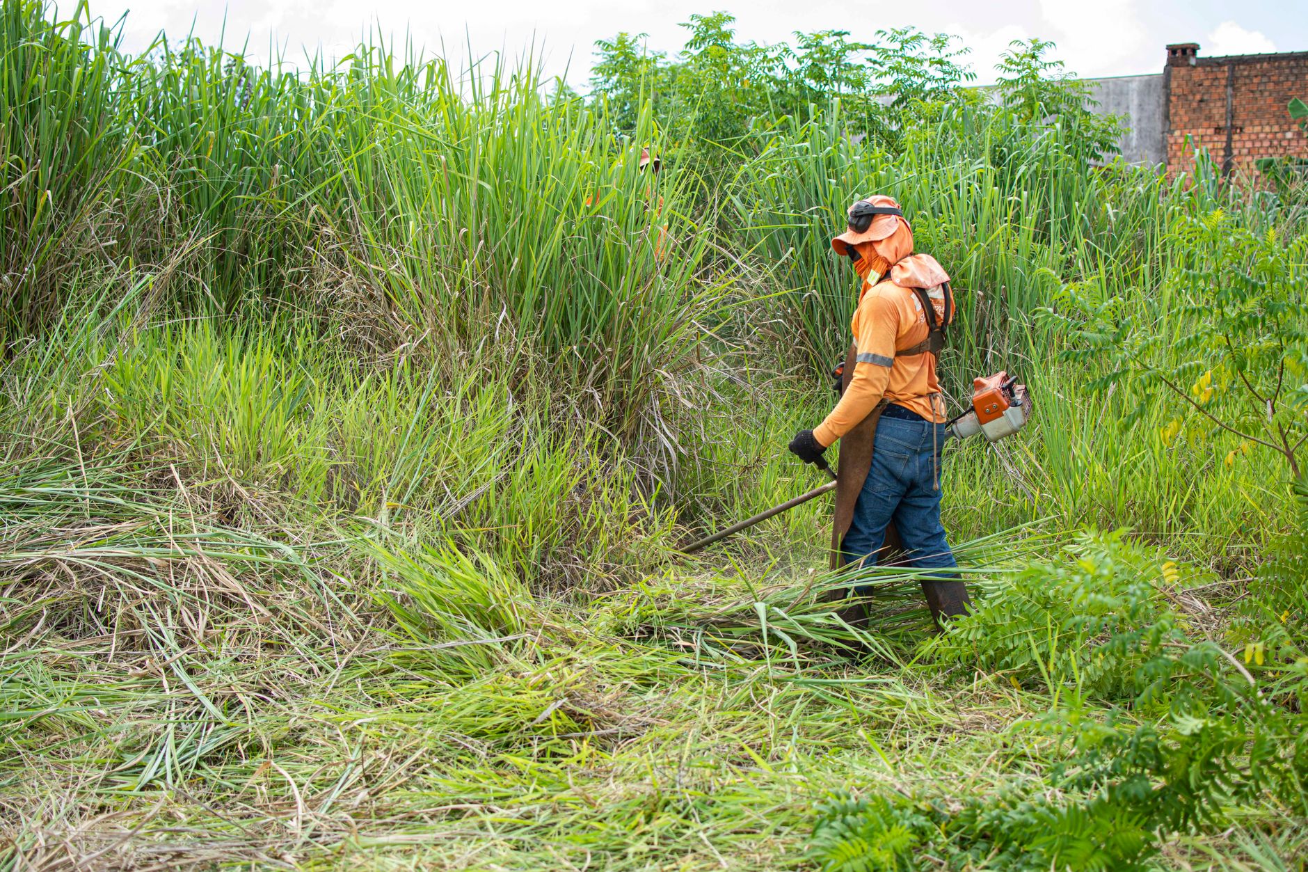 person cutting grass with a grass cutter